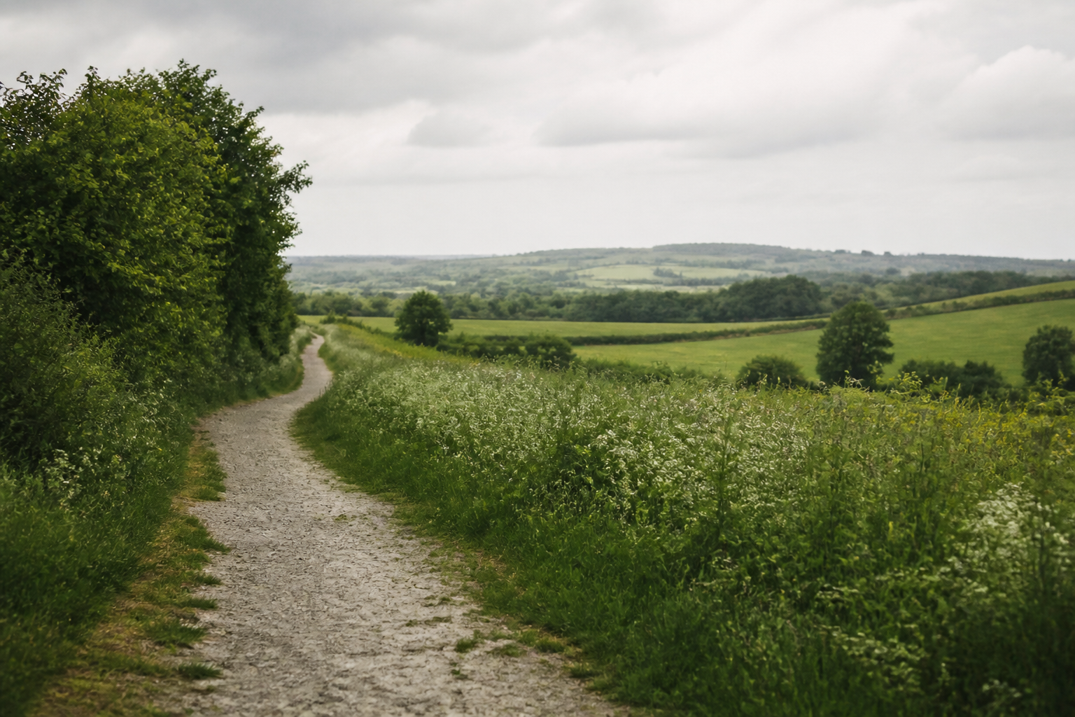 Countryside